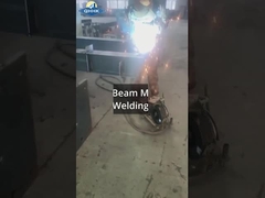 Laboratorio di acciaio dello Sri Lanka con progetto di gru